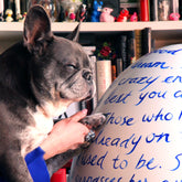 Anabela Chan Joaillerie x The Big Egg Hunt 2025