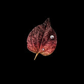 Sunset Autumn Leaf Brooch. Lab-Grown Topaz