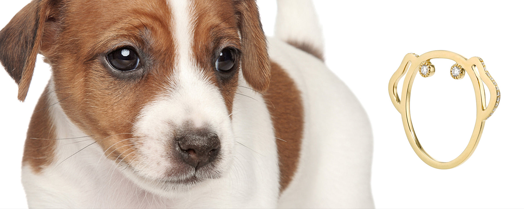 Anabela Chan Joaillerie_Collection Page Headers Desktop_Puppy