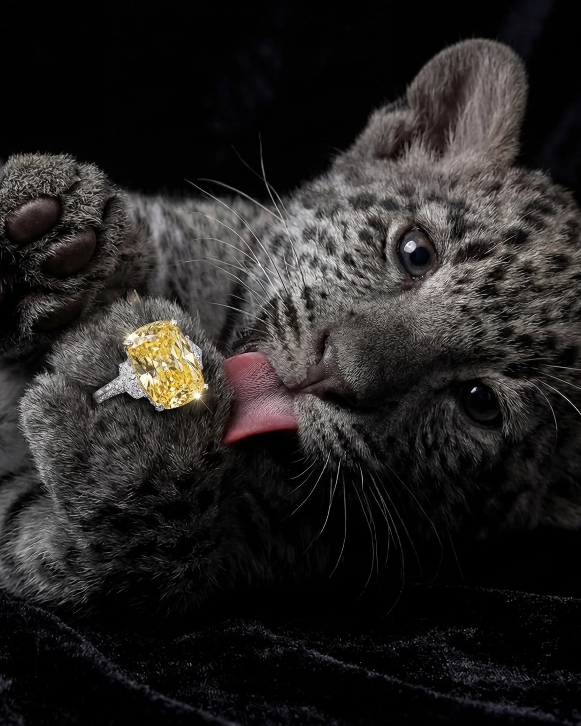 Anabela_Chan_Joaillerie_Our_Collections_Classic_Collection_Broderie_Canary_Ring_Feline_Campaign_mobile