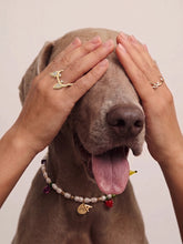Anabela_Chan_Joaillerie_Our_Collections_Puppy_Kitty_Rings_Diamond_Frenchie_Ring_Diamond_Puppy_Ring_Pet_Pearl_Collier_01