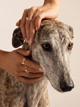 Anabela_Chan_Joaillerie_Our_Collections_Puppy_Kitty_Rings_Diamond_Terrier_Ring_Dimaond_Puppy_Ring_01