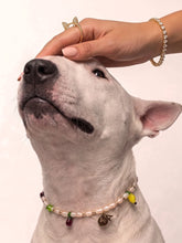 Anabela_Chan_Joaillerie_Our_Collections_Puppy_Kitty_Rings_Diamond_Terrier_Ring_Pet_Pearl_Collier_01