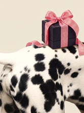 Anabela_Chan_Joaillerie_Our_Collections_Puppy_Kitty__Signature_Gift_Packaging