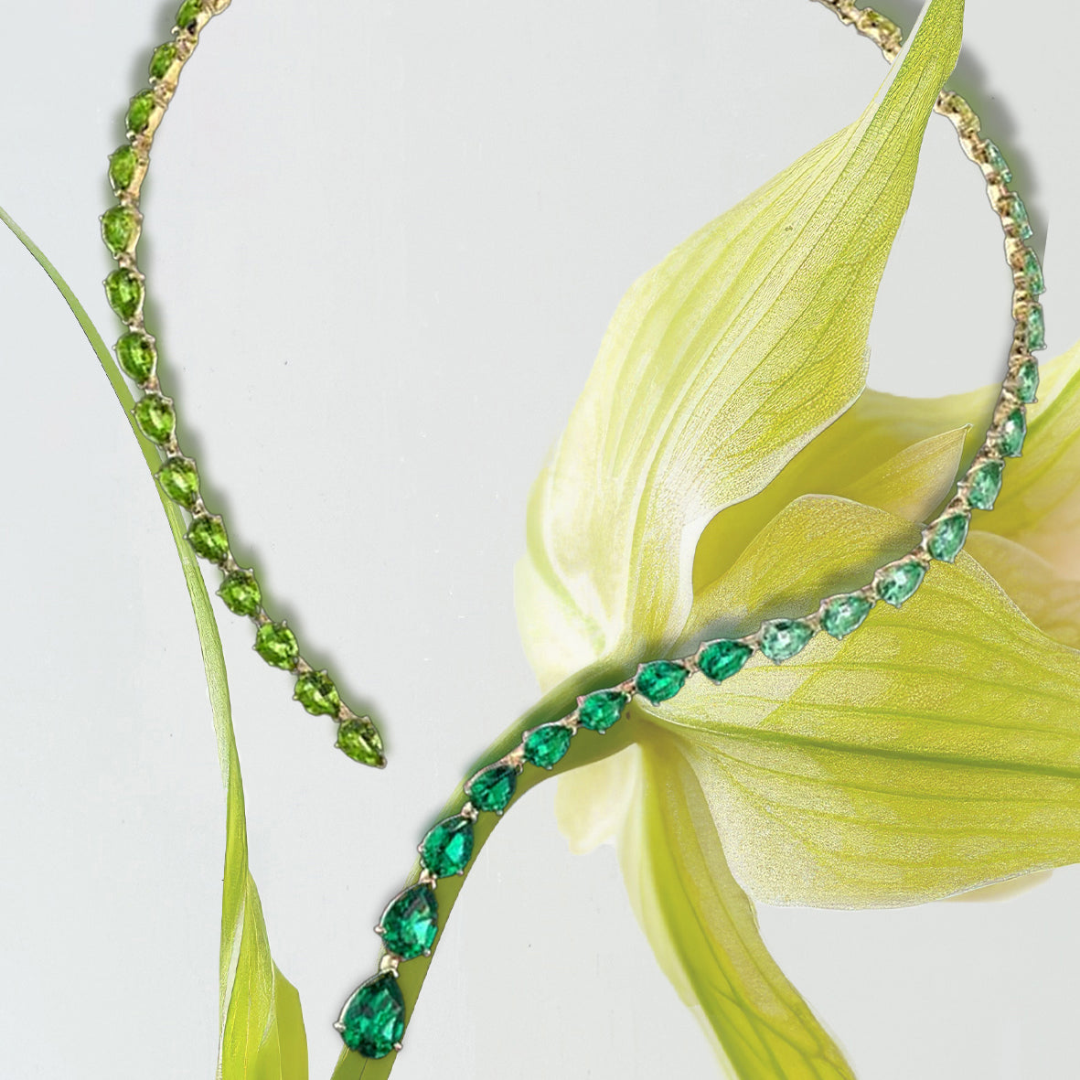 Anabela Chan Joaillerie