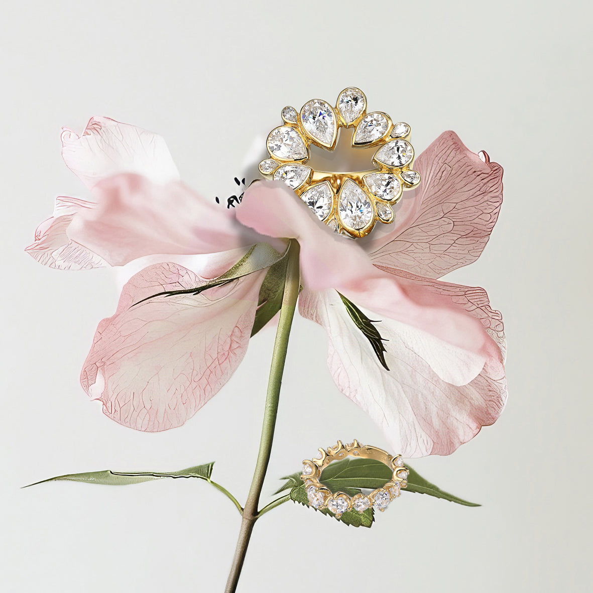 Anabela Chan Joaillerie