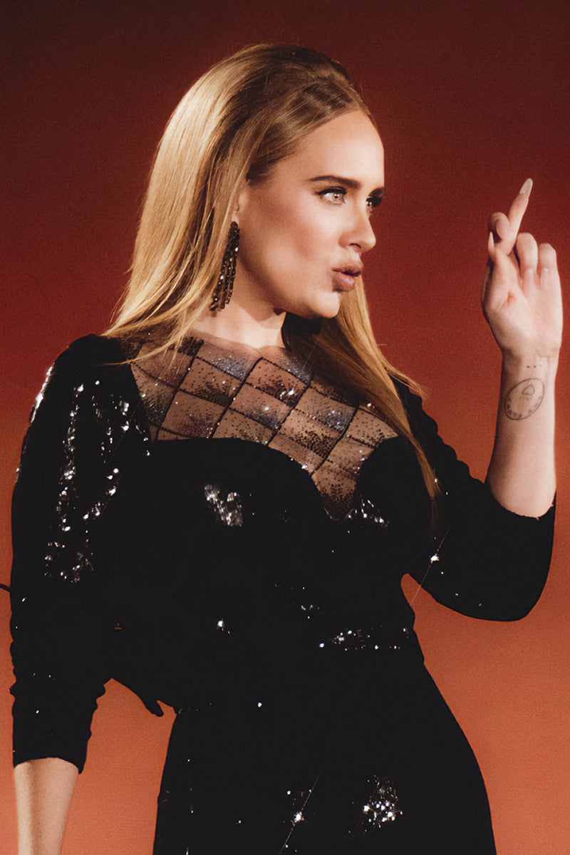 Adele wears the Black Diamond Cascade Earrings to her Munich Residence Concert
