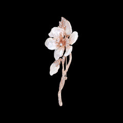 Rose Cherry Corsage Brooch