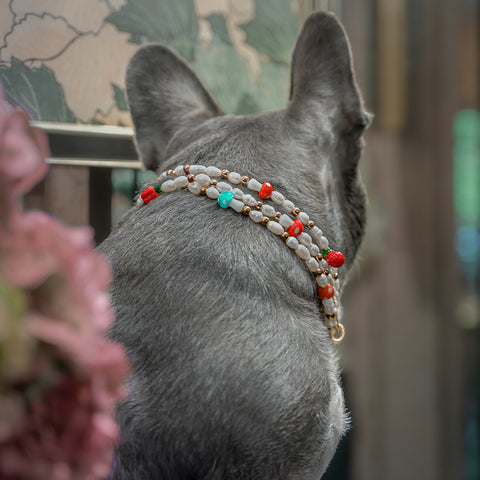 Pet Pearl Collier