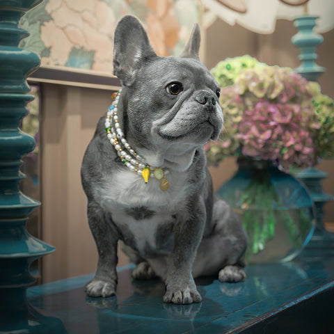 Pet Pearl Collier