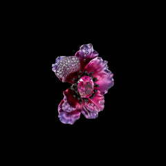 Begonia Poppy Brooch