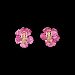 Begonia Rose Studs