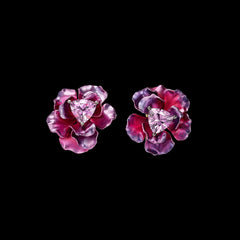 Begonia Rose Studs