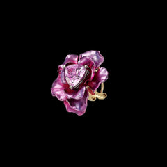 Begonia Rose Studs