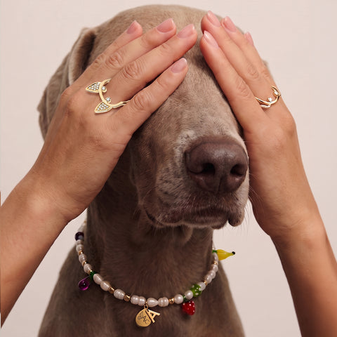 Pet Pearl Collier
