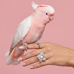 White Mini Blossom Ring. Freshwater Pearl