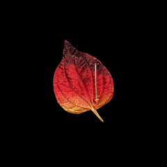 Autumn Leaf Brooch