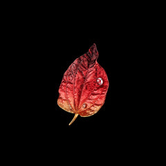 Autumn Leaf Brooch