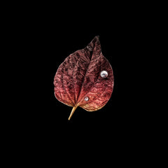 Sunset Autumn Leaf Brooch