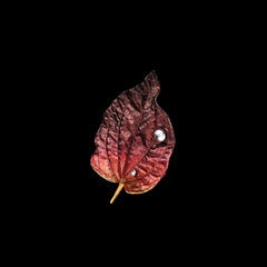 Sunset Autumn Leaf Brooch