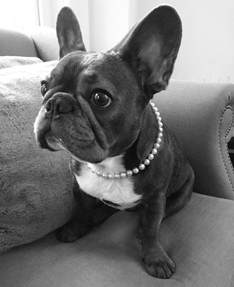 Anabela_Chan_Joaillerie_AC_x_Pintu_Anabela_and_Vino_02_BW