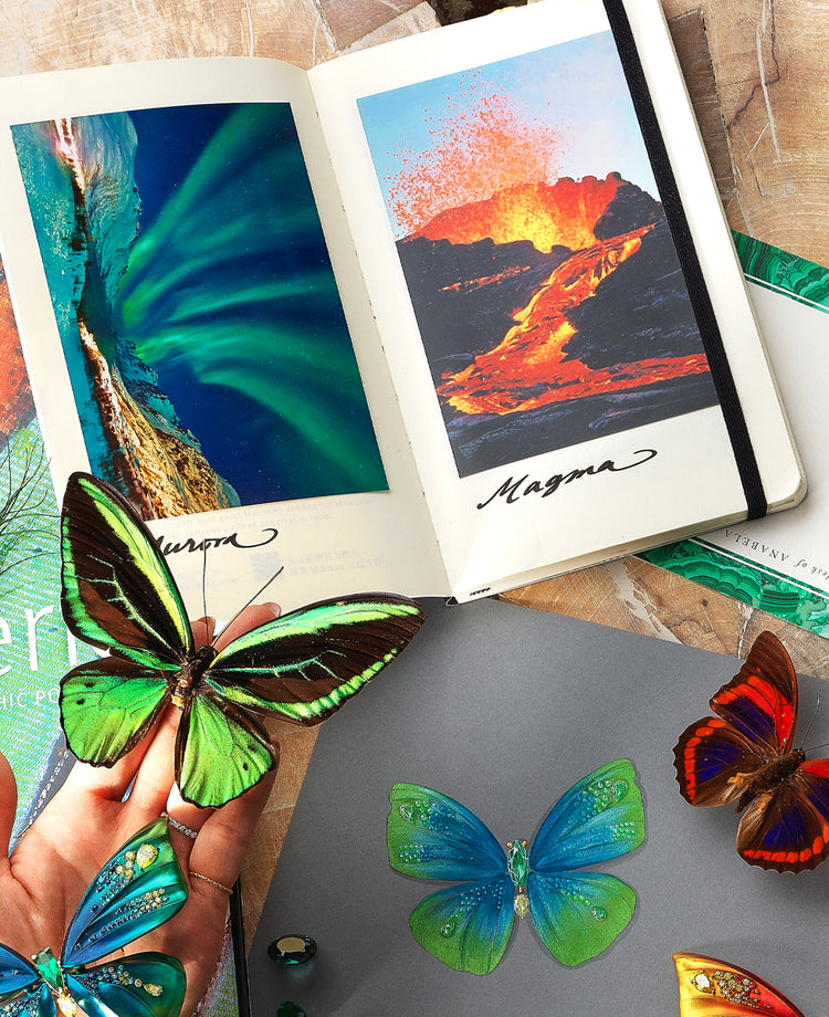 Anabela Chan Joaillerie_Aurora Butterfly Brooch, Magma Butterfly Brooch_Moodboard