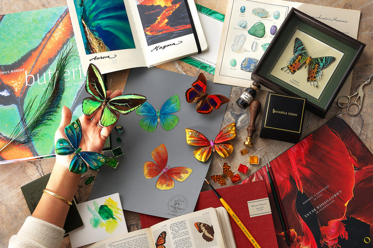 Anabela Chan Joaillerie_Aurora Butterfly Brooch, Magma Butterfly Brooch_Still Life Campaign Image