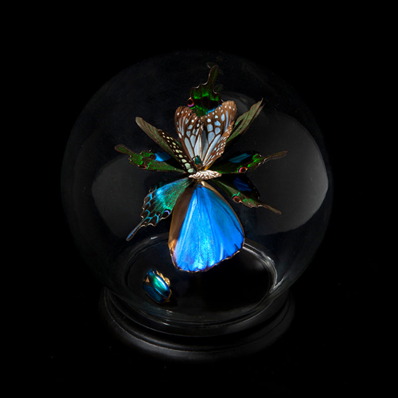 Anabela Chan Joaillerie_Butterfly Sculptures_Iris 01