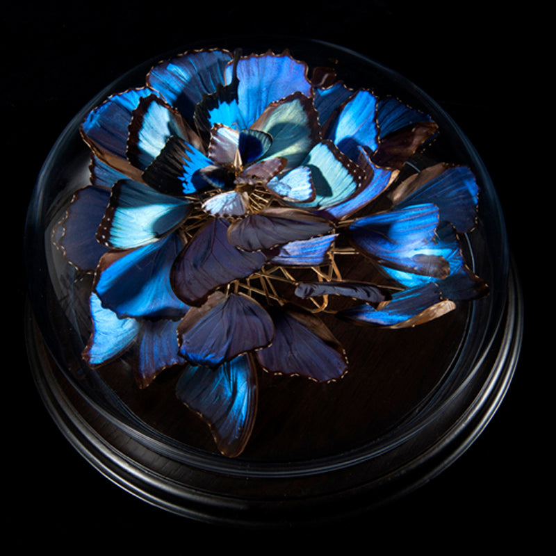 Anabela Chan Joaillerie_Butterfly Sculptures_Morpho Bloom 01