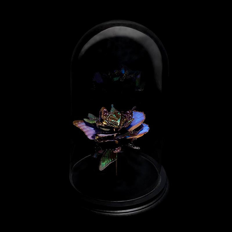 Anabela Chan Joaillerie_Butterfly Sculptures_Rose 01_2013