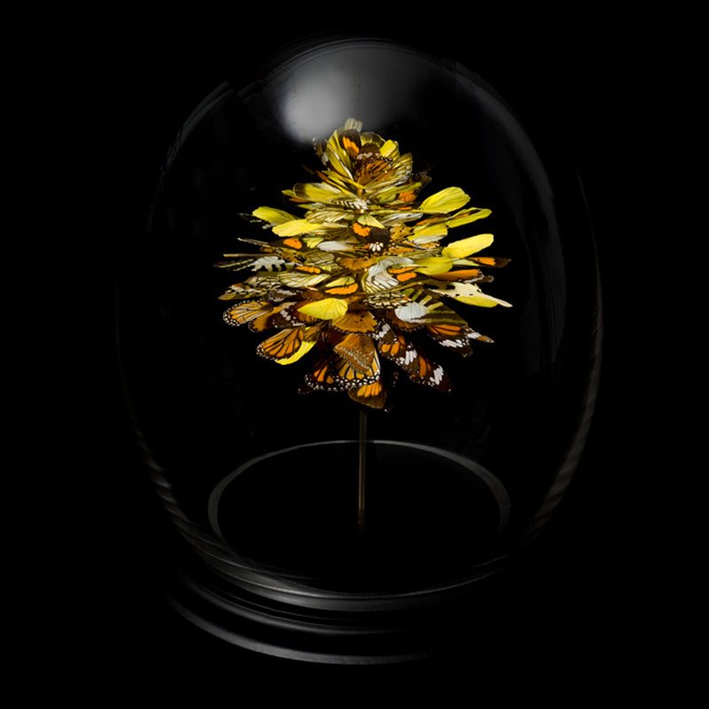 Anabela Chan Joaillerie_Butterfly Sculptures_Spring Bloom 01