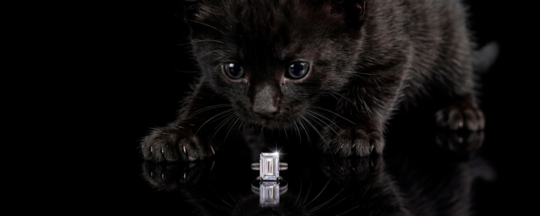 Anabela_Chan_Joaillerie_Collection_Page_Headers_Desktop_Classic_Collection