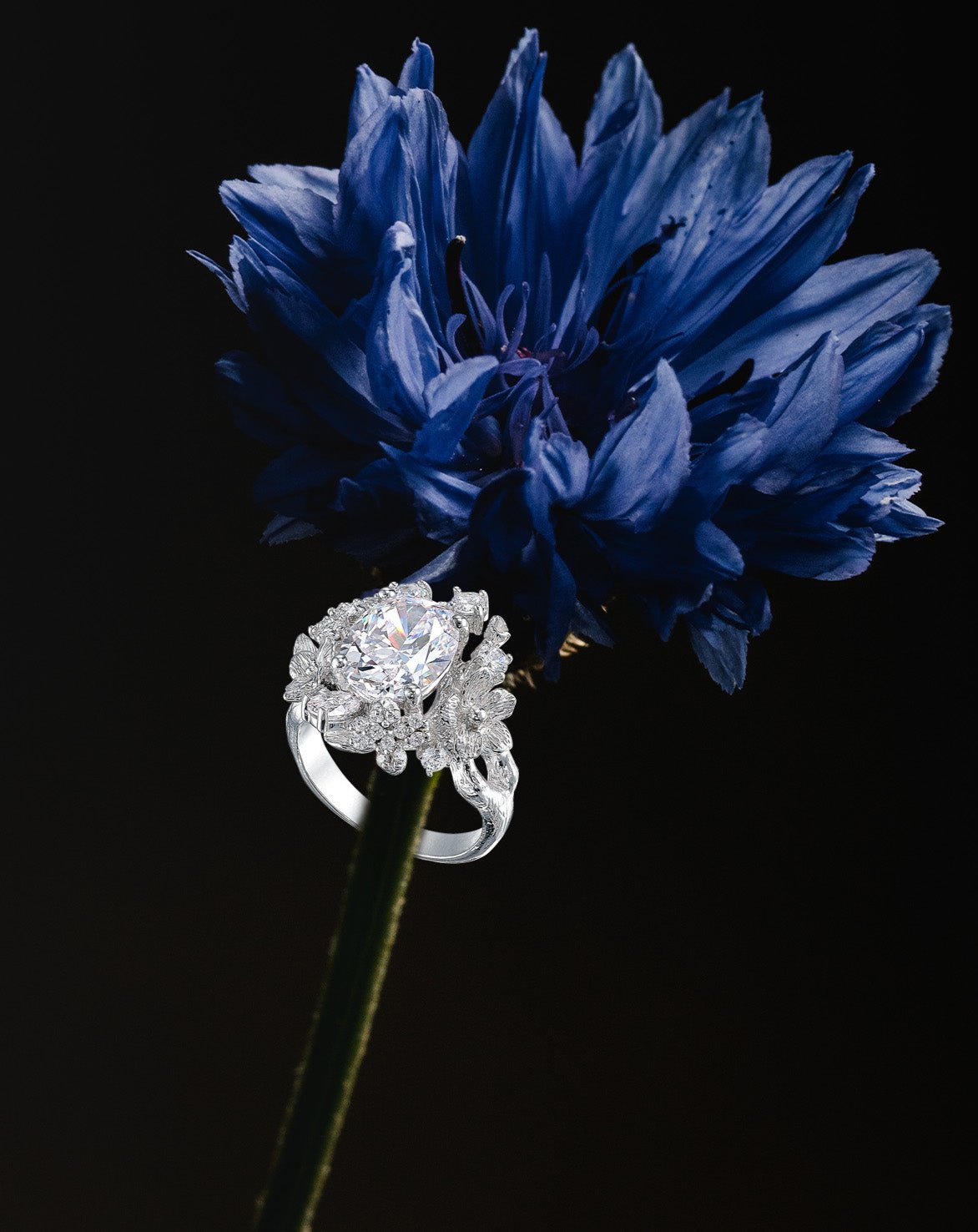 Anabela_Chan_Joaillerie_Collections_Bridal_Diamond_Posy_Ring._White_Gold