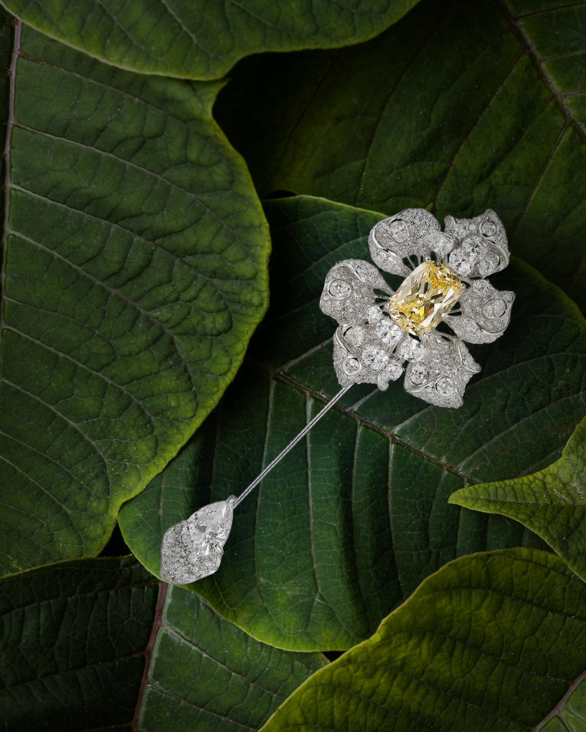 Anabela_Chan_Joaillerie_Collections_New_Creations_Brooches_02