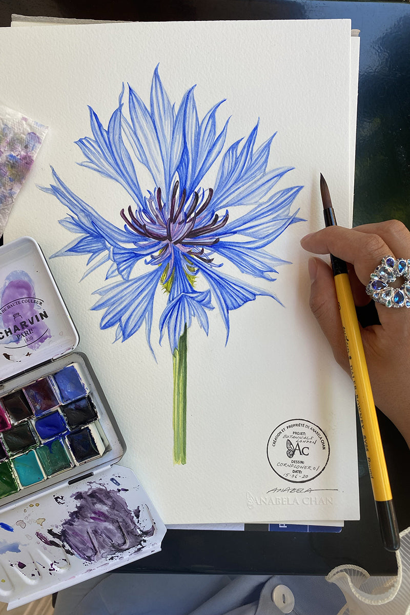 Anabela Chan Joaillerie_Flower Therapy_Blue Cornflower