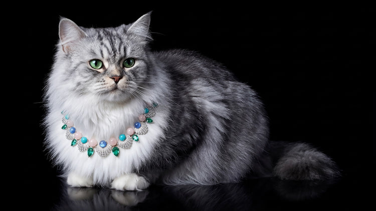 Anabela_Chan_Joaillerie_Landing_Page_Feline_Campaign_Paraiba_Rose_Ariel_Necklace_desktop