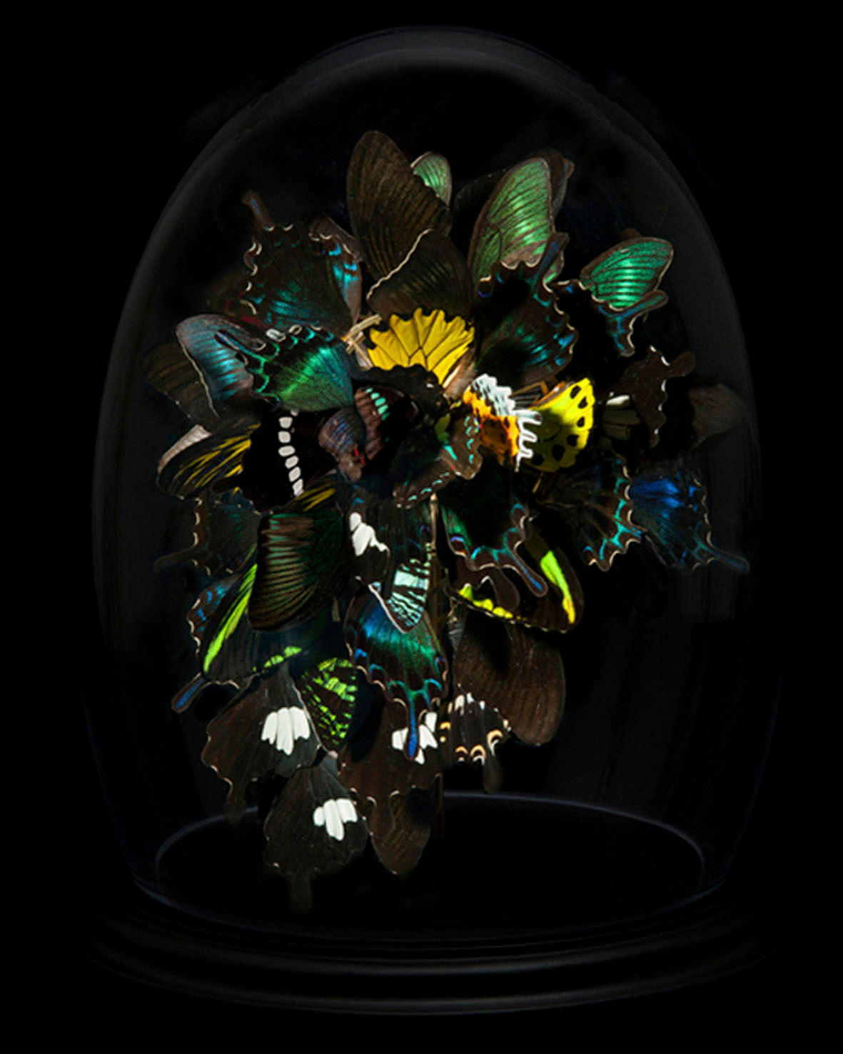 Anabela_Chan_Joaillerie_Mobile_Menu_World_of_AC_Art