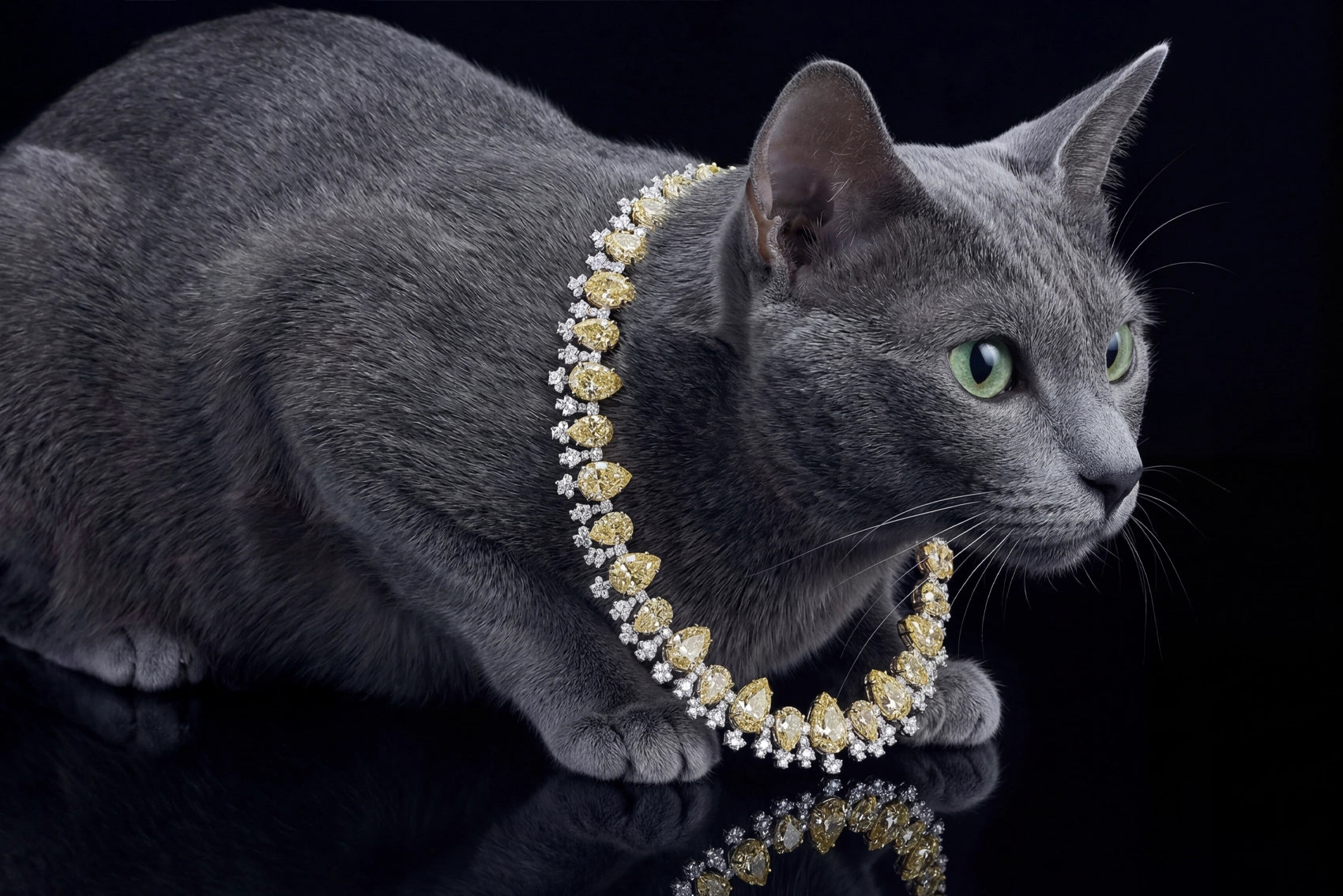Anabela_Chan_Joaillerie_Our_Collections_Classic_Collection_Canary_Love_tears_Necklace_Feline_Campaign_desktop