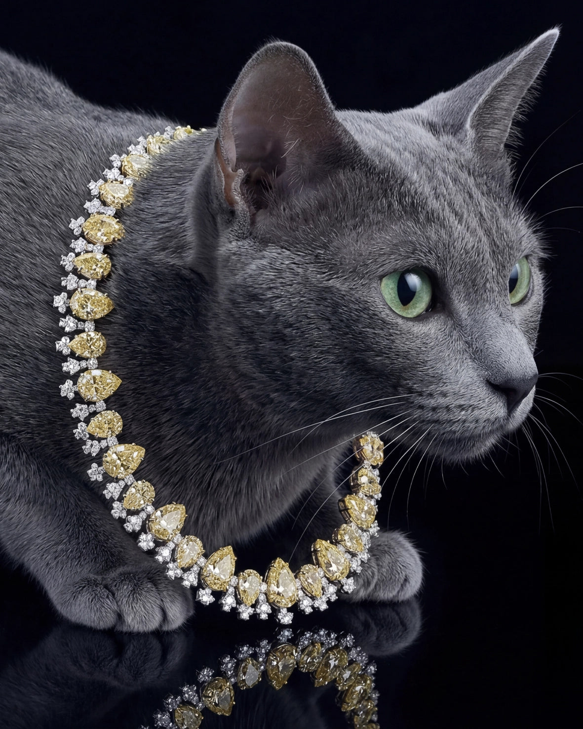 Anabela_Chan_Joaillerie_Our_Collections_Classic_Collection_Canary_Love_tears_Necklace_Feline_Campaign_mobile