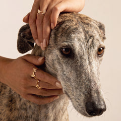 Diamond Terrier Ring. Natural Diamond