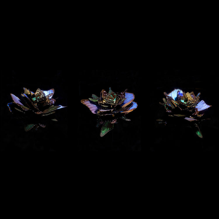 Anabela Chan Joaillerie_Rose Print_Unique NFT Digital Art
