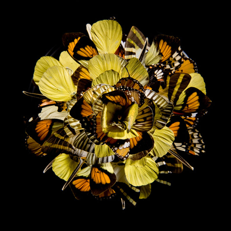 Spring Monarch. Unique NFT Digital Art.