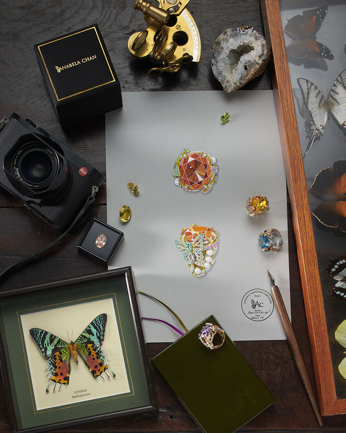 Anabela_Chan_Joaillerie_Our_Collections_Our Rings