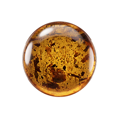 Regenerative Amber