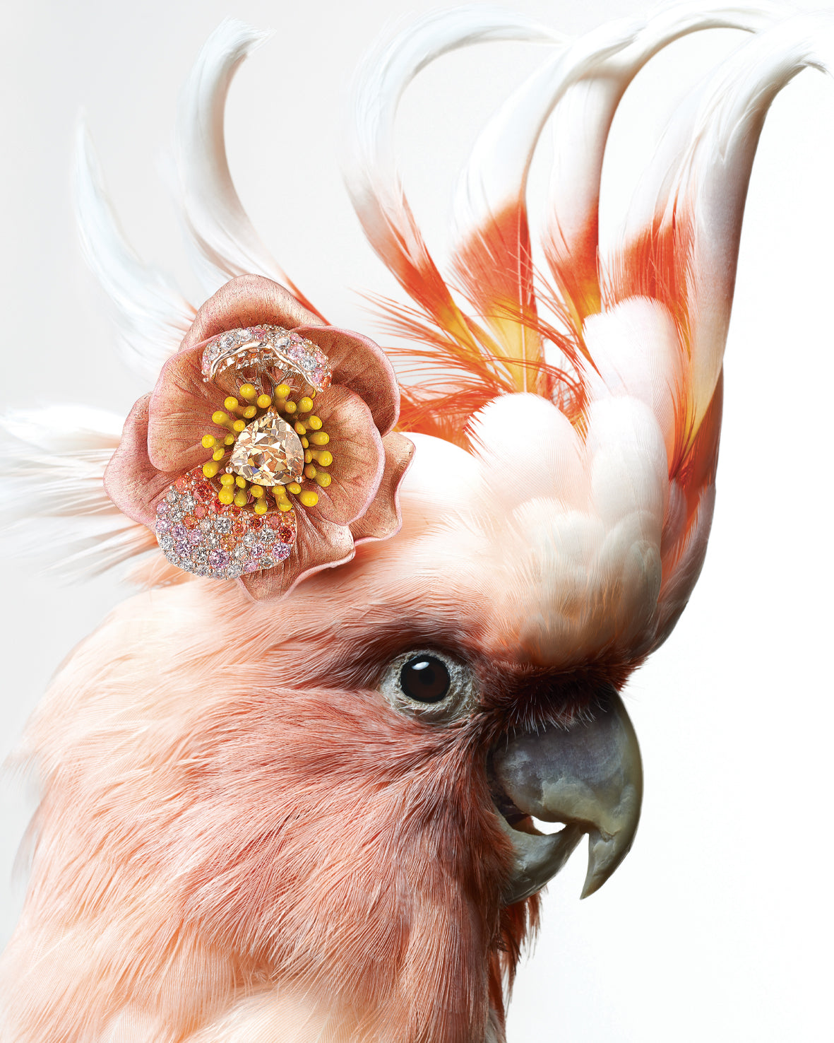 Anabela Chan Joaillerie