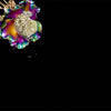 Rainbow Parrot Tulip Brooch. Lab-Grown Quartz