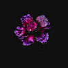 Begonia Poppy Brooch